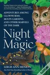 Capa do artigo Night Magic