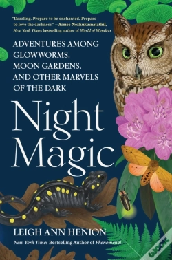 Capa do artigo Night Magic