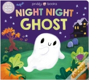 Capa do artigo Night Night Ghost