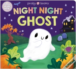 Capa do artigo Night Night Ghost