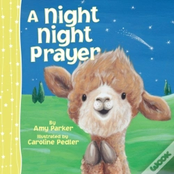 Capa do artigo Night Night Prayer