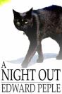 Night Out - Preview