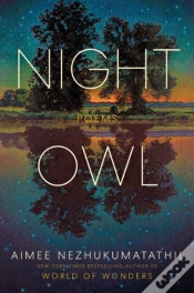 Capa do artigo Night Owl