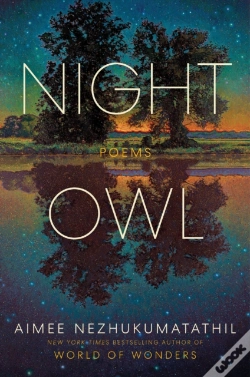 Capa do artigo Night Owl