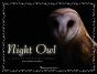 Night Owl - Preview