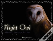 Capa do artigo Night Owl