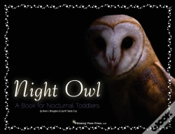 Capa do artigo Night Owl