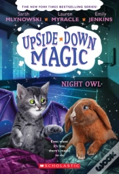 Capa do artigo Night Owl (Upside-Down Magic #8)