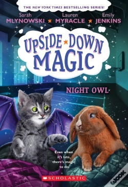 Capa do artigo Night Owl (Upside-Down Magic #8)