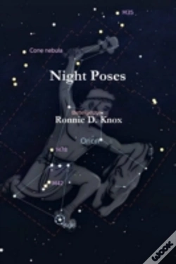 Capa do artigo Night Poses