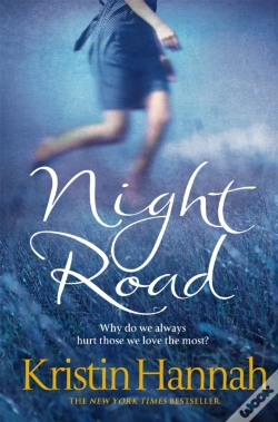 Capa do artigo Night Road