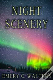 Capa do artigo Night Scenery