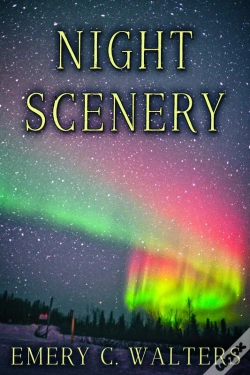 Capa do artigo Night Scenery