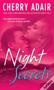 Capa do artigo Night Secrets