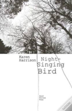 Capa do artigo Night-Singing Bird