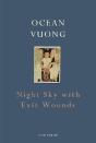 Night Sky With Exit Wounds - Preview