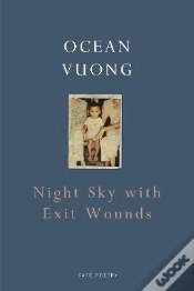 Capa do artigo Night Sky With Exit Wounds