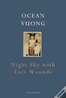 Capa do artigo Night Sky With Exit Wounds