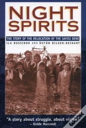Capa do artigo Night Spirits