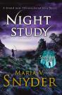 Night Study - Preview