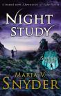 Night Study - Preview