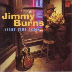 Capa do artigo Night Time Again - CD