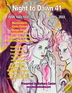 Capa do artigo Night To Dawn 41