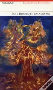 Capa do artigo Night Tree