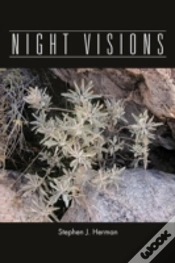 Capa do artigo Night Visions
