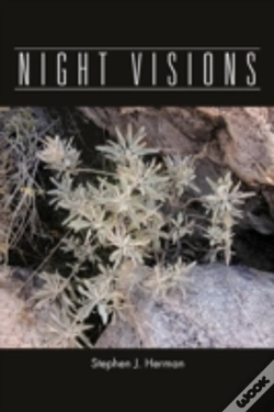 Capa do artigo Night Visions