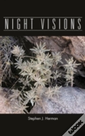 Capa do artigo Night Visions