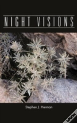 Capa do artigo Night Visions