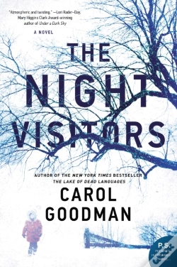 Capa do artigo Night Visitors