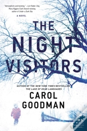 Capa do artigo Night Visitors