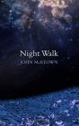Night Walk - Preview