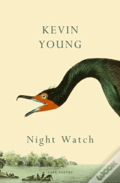 Capa do artigo Night Watch
