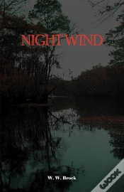 Capa do artigo Night Wind