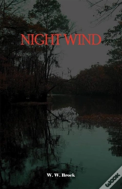 Capa do artigo Night Wind