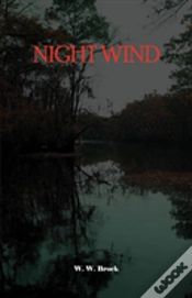 Capa do artigo Night Wind