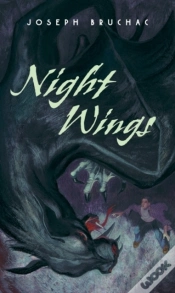 Capa do artigo Night Wings