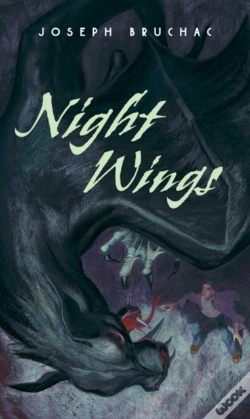 Capa do artigo Night Wings