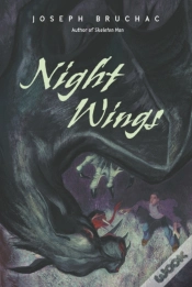 Capa do artigo Night Wings