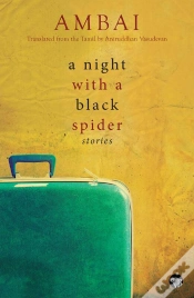 Capa do artigo Night With A Black Spider