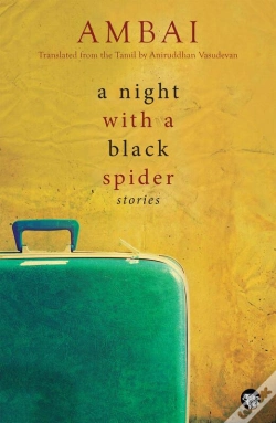 Capa do artigo Night With A Black Spider