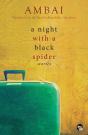 Night With A Black Spider - Preview