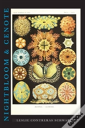 Nightbloom & Cenote