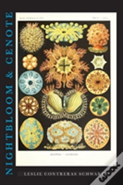 Capa do artigo Nightbloom & Cenote