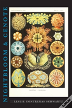 Capa do artigo Nightbloom & Cenote