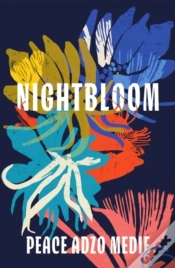 Capa do artigo Nightbloom (Export Edition)