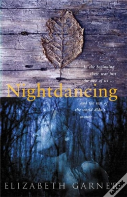 Capa do artigo Nightdancing